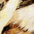 Предпросмотр схемы вышивки «пара птиц на ветке» (№939287)