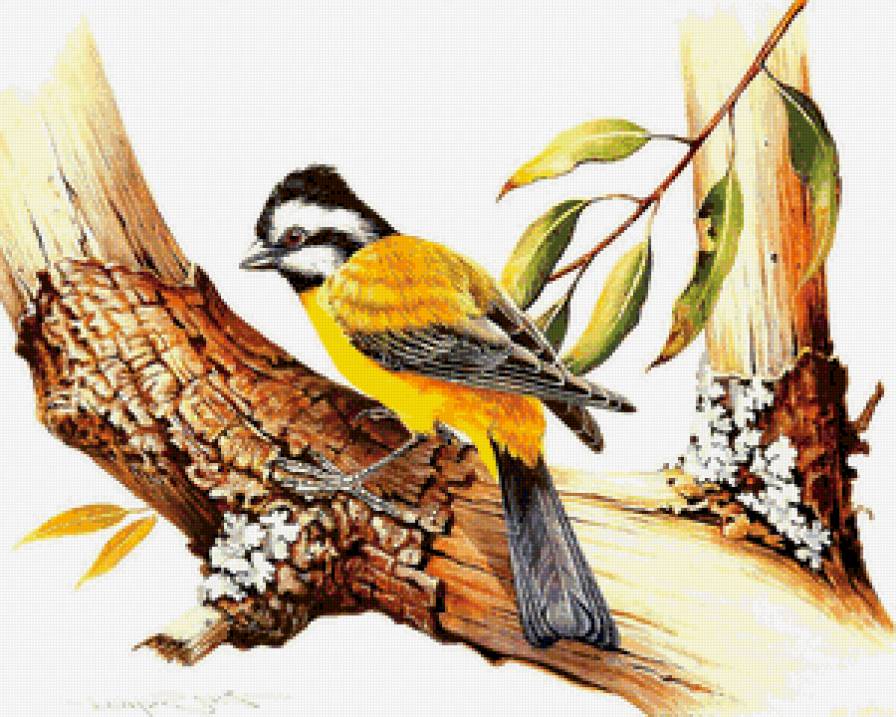 птица на дереве - дерево, картина, ветка, птица - предпросмотр
