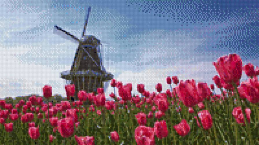 №939382 - предпросмотр