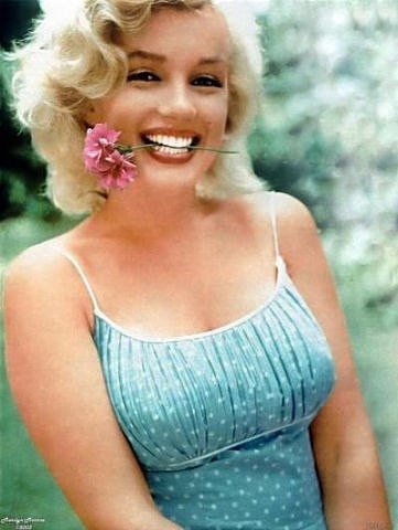 №939519 - оригинал