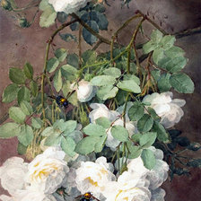 Схема вышивки «№939543»