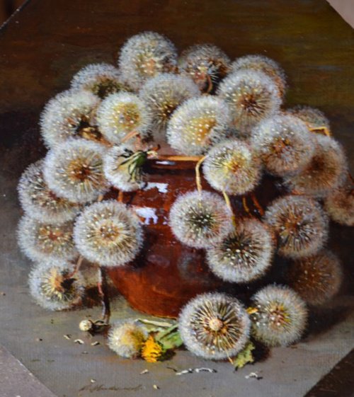 Седой одуванчик - букет, цветы - оригинал