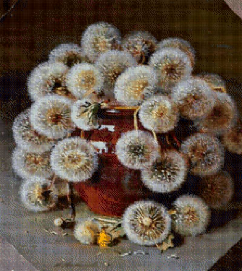 Седой одуванчик - букет, цветы - предпросмотр
