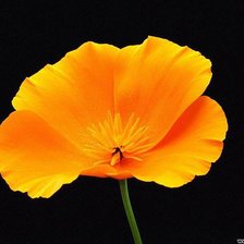 Схема вышивки «№939730»