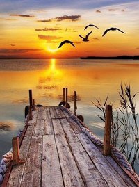 Закат - вода, закат, птицы, причал - оригинал