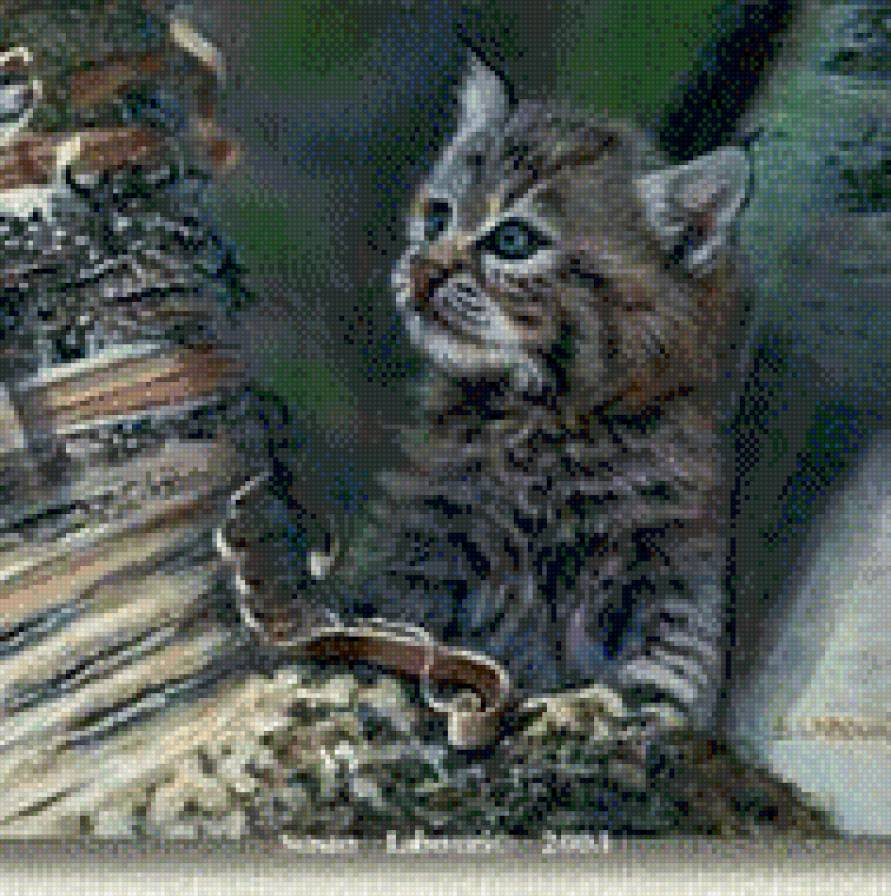 212 - картина, кошка, красота, животные, природа, рысь - предпросмотр