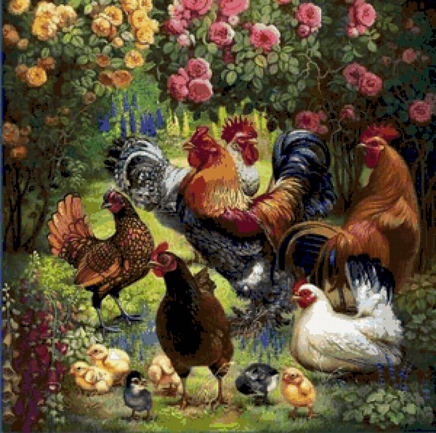 Gallinero - предпросмотр