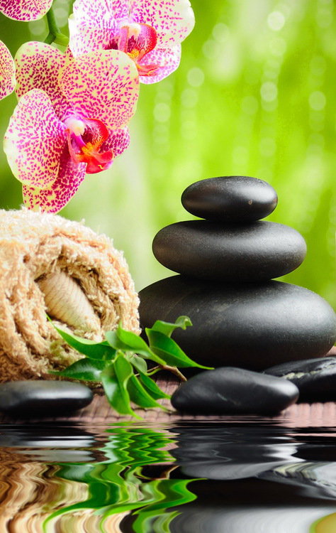 спа - камни, цветы, вода - оригинал