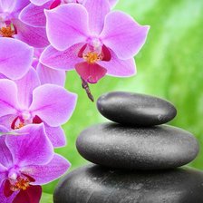 Схема вышивки «спа»