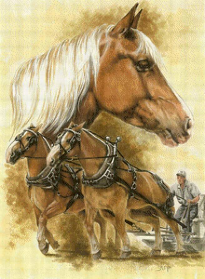 Лошади - лошадь, тяжеловозы - предпросмотр