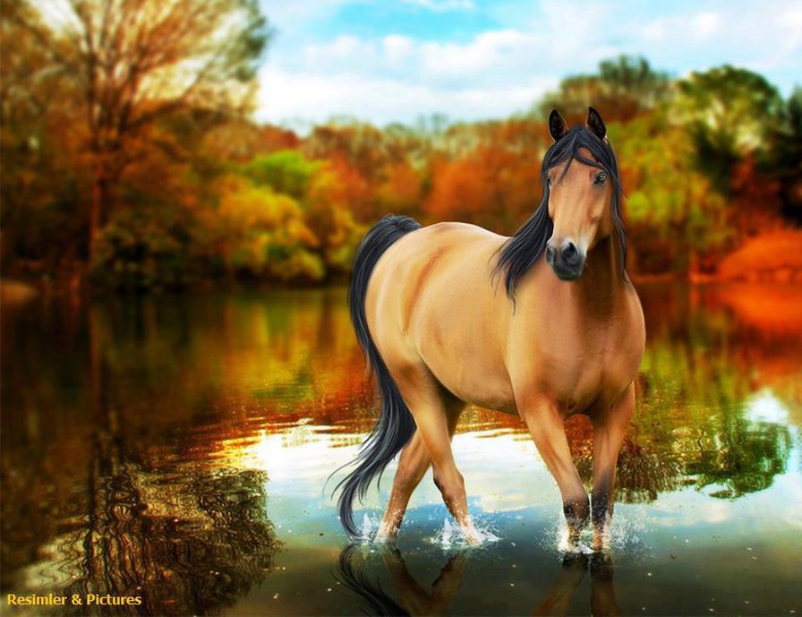красавица - вода, грация, лошадь, осень - оригинал