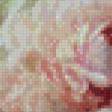 Предпросмотр схемы вышивки «Розовые пионы» (№940022)