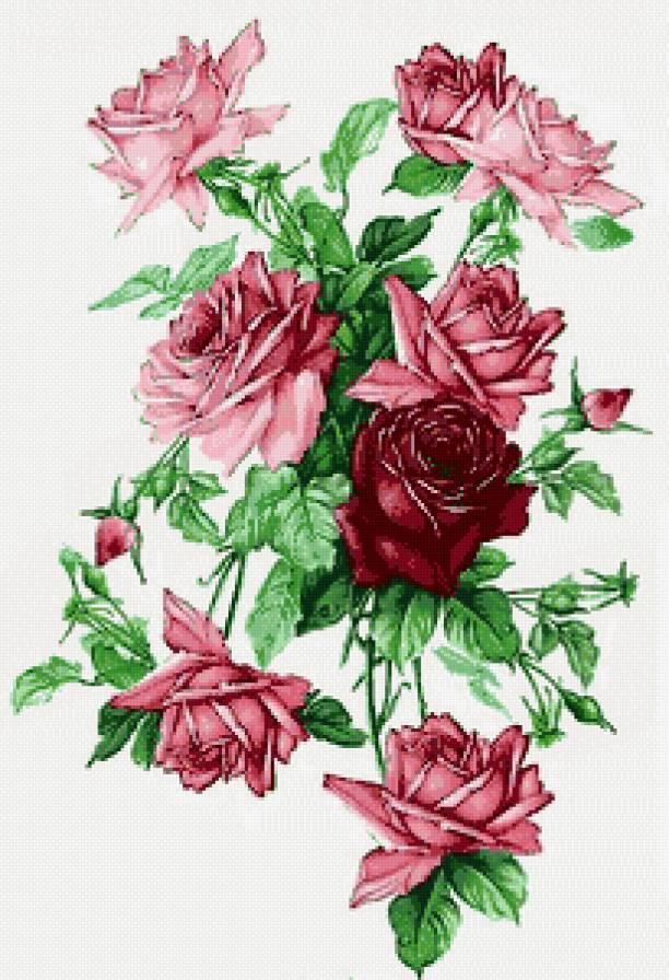 роза - предпросмотр