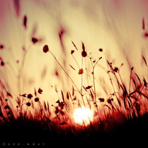 Закат - оригинал