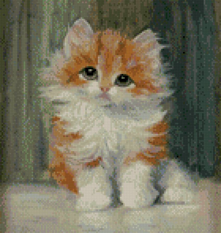 котика - предпросмотр