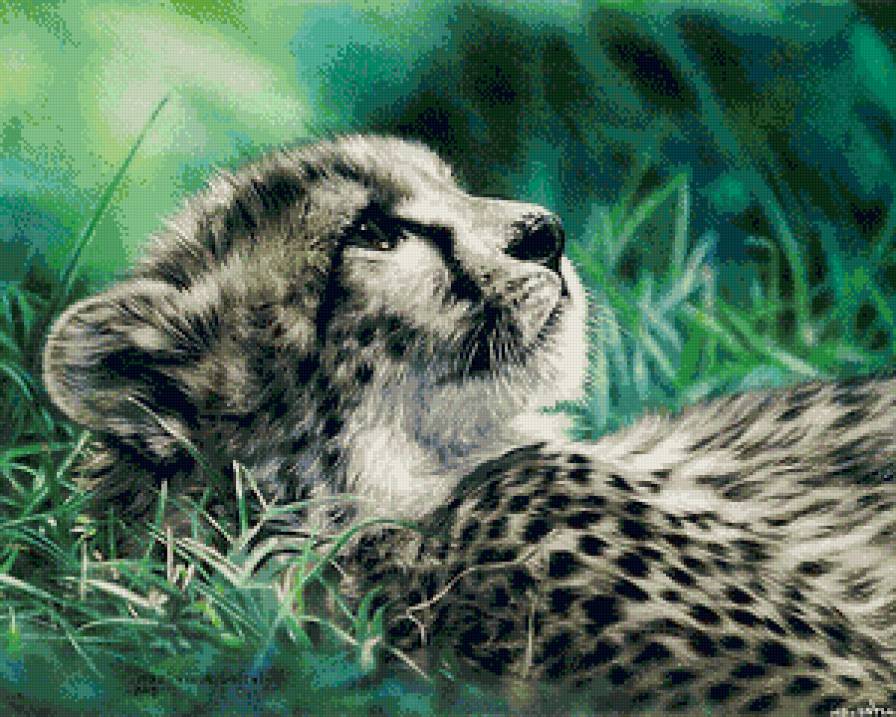 гепард в траве - животное, трава, гепард, кошка - предпросмотр