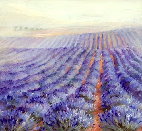 лавандовые поля в провансе - лаванда, прованс, природа, пейзаж, живопись, лето, цветы - оригинал