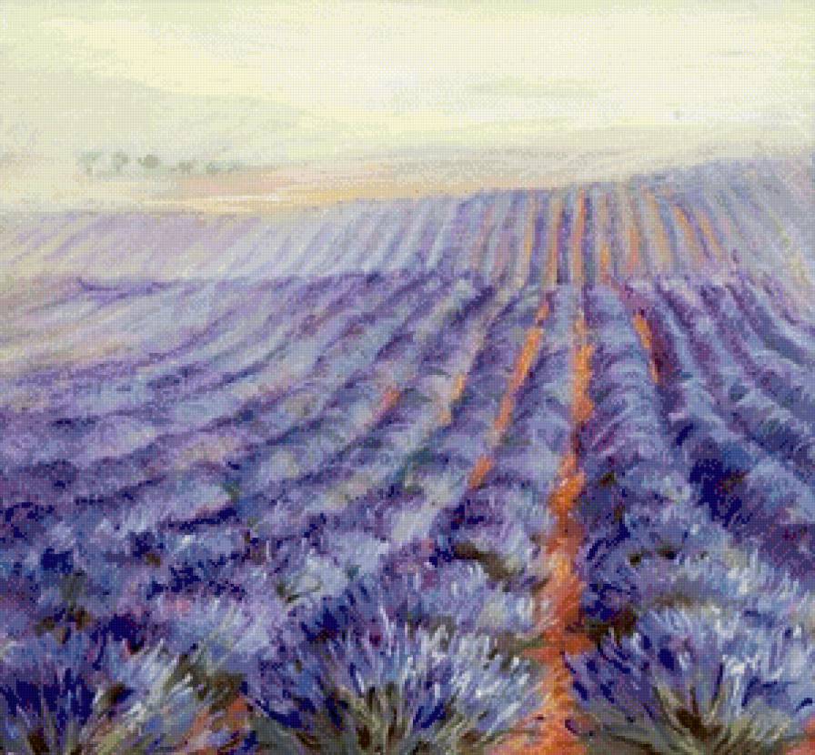 лавандовые поля в провансе - живопись, лаванда, лето, цветы, прованс, пейзаж, природа - предпросмотр