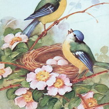 Схема вышивки «синички в гнезде»