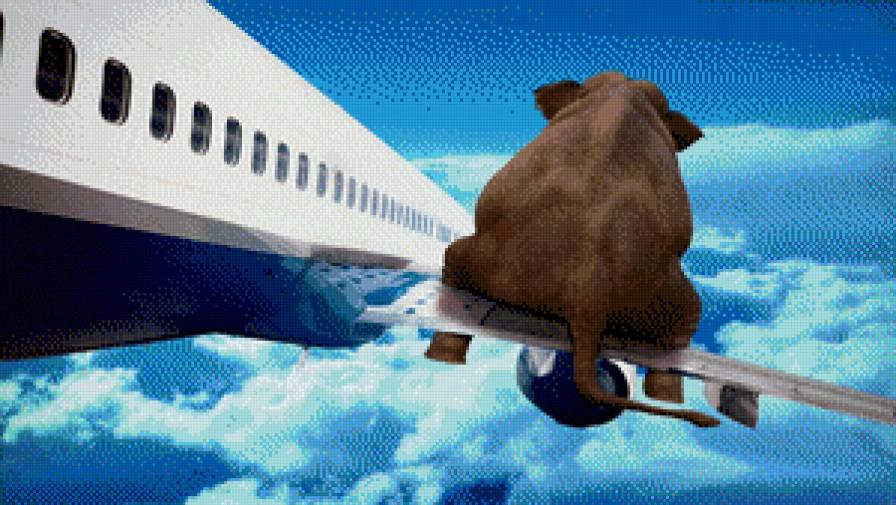 Слон на самолете - самолет, юмор, слон, животные - предпросмотр