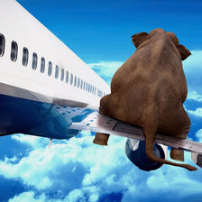 Схема вышивки «Слон на самолете»