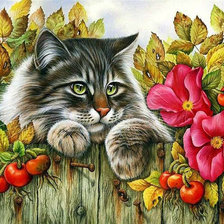 Схема вышивки «котейка»