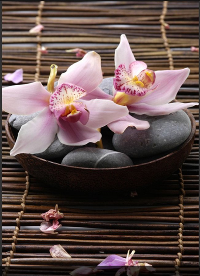Орхидеи - цветы, орхидеи, релакс - оригинал
