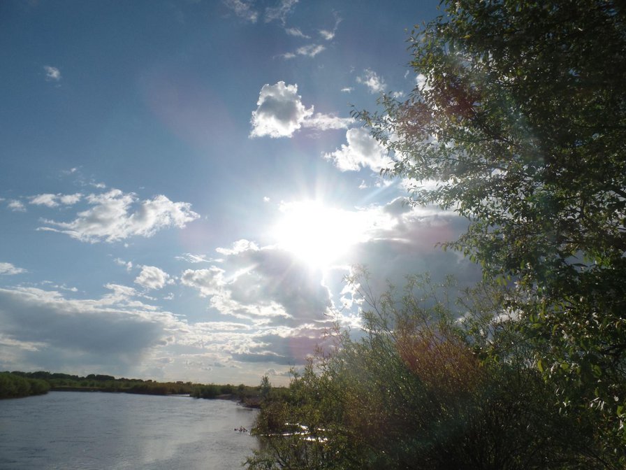 Закат - природа, солнце, деревья, пейзаж - оригинал