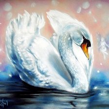 белый лебедь на пруду