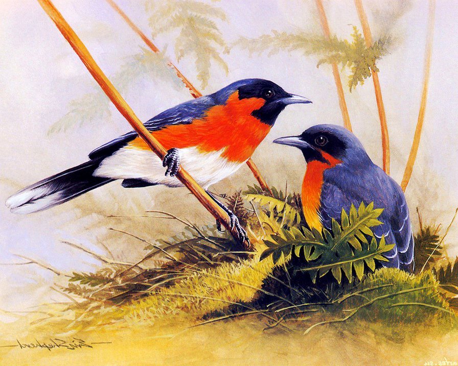 пара птиц - сад, птицы, цветы, пара, любовь, семья, ветка - оригинал