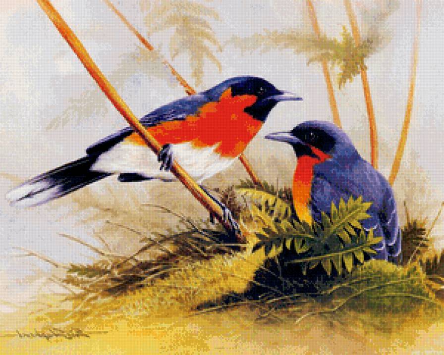 пара птиц - птицы, любовь, ветка, семья, пара, сад, цветы - предпросмотр