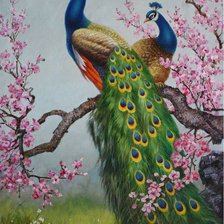 Схема вышивки «Павлины»