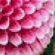 Предпросмотр схемы вышивки «Цветы» (№941926)