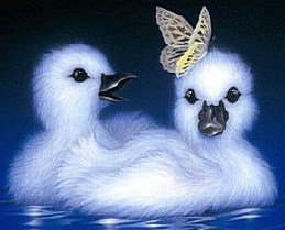 пушистики - оригинал