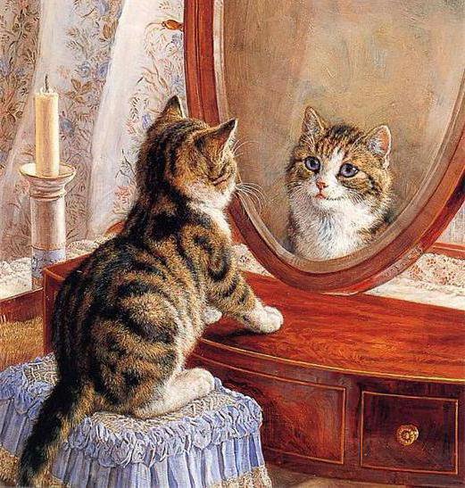 Серия "Домашние любимцы" - котенок, зеркало, отражение, картина - оригинал