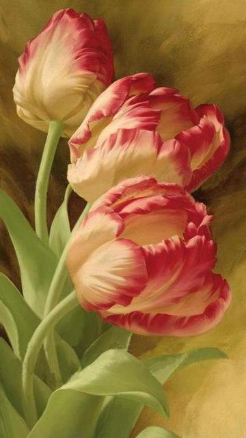 Тюльпаны - цветы - оригинал