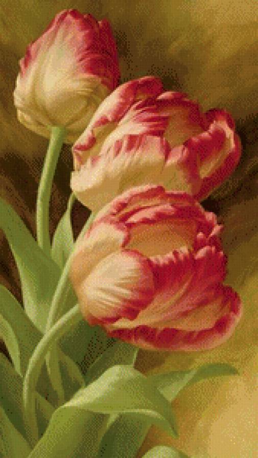 Тюльпаны - цветы - предпросмотр
