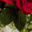 Предпросмотр схемы вышивки «БУКЕТ РОЗ» (№941988)