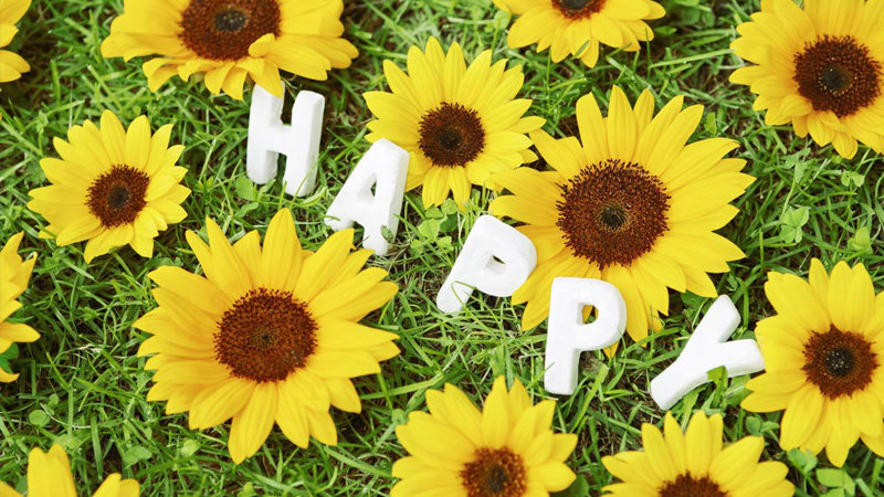 счастье - оригинал