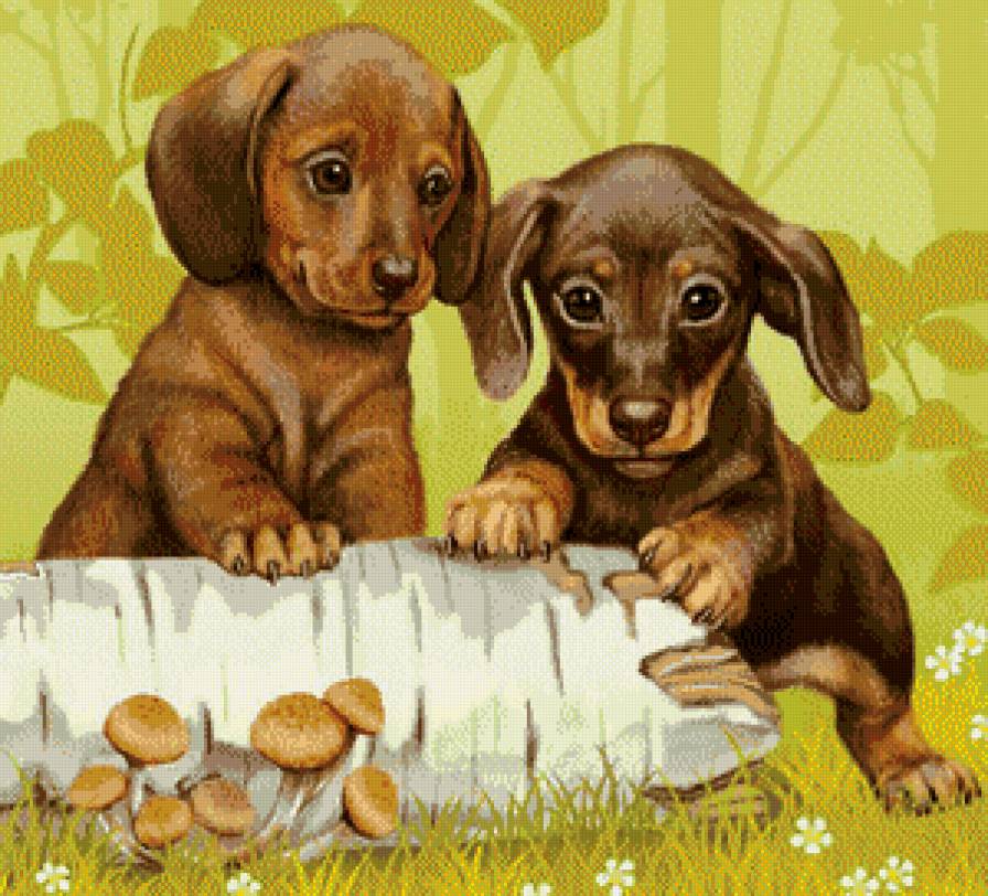 Серия "Домашние любимцы" - парочка, грибы, лес, природа, пенек, такса - предпросмотр