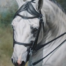 Схема вышивки «Лошадь»