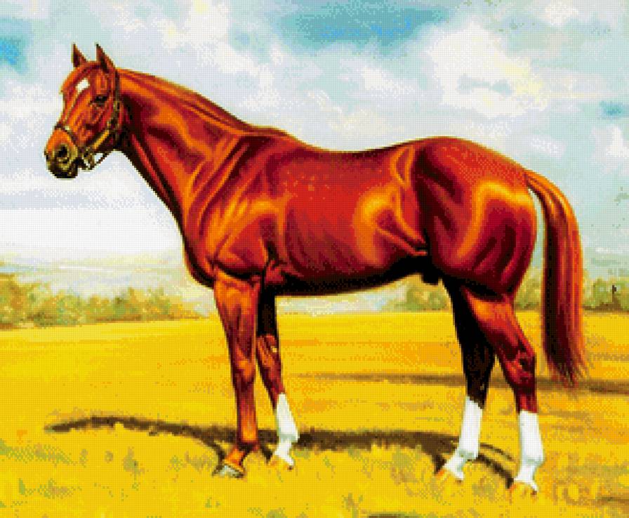 породистый скакун - ферма, животное, живопись, лошадь, скакун, порода - предпросмотр