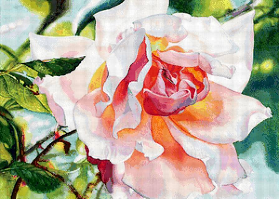 красота розы - роза, нежность, красота, акварель, цветок, панно - предпросмотр