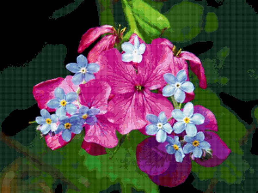 цветы - предпросмотр