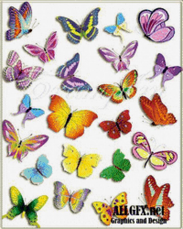 бабочки - бабочки - предпросмотр