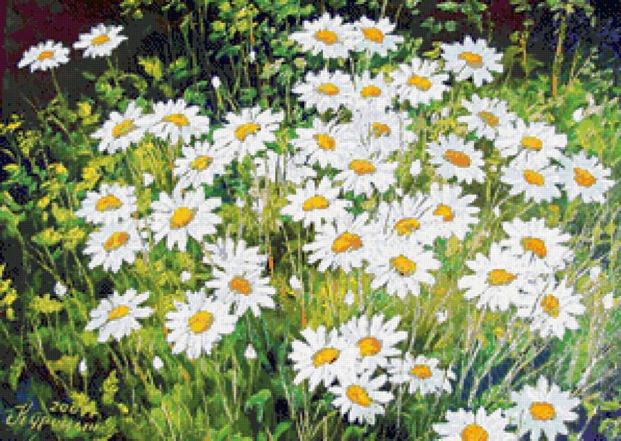 ромашковое поле - цветы, живопись, природа, ромашки, лето, поле - предпросмотр