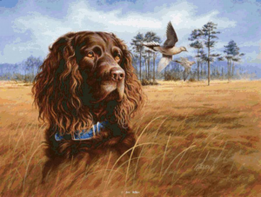 №942950 - собака - предпросмотр