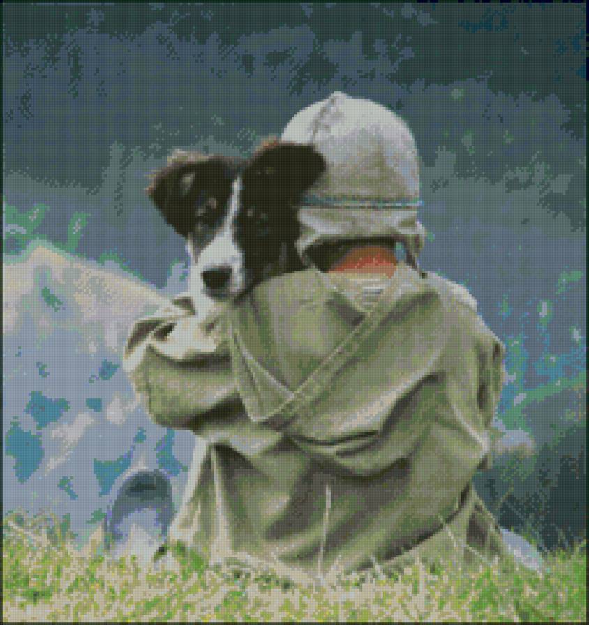 Amigos - предпросмотр