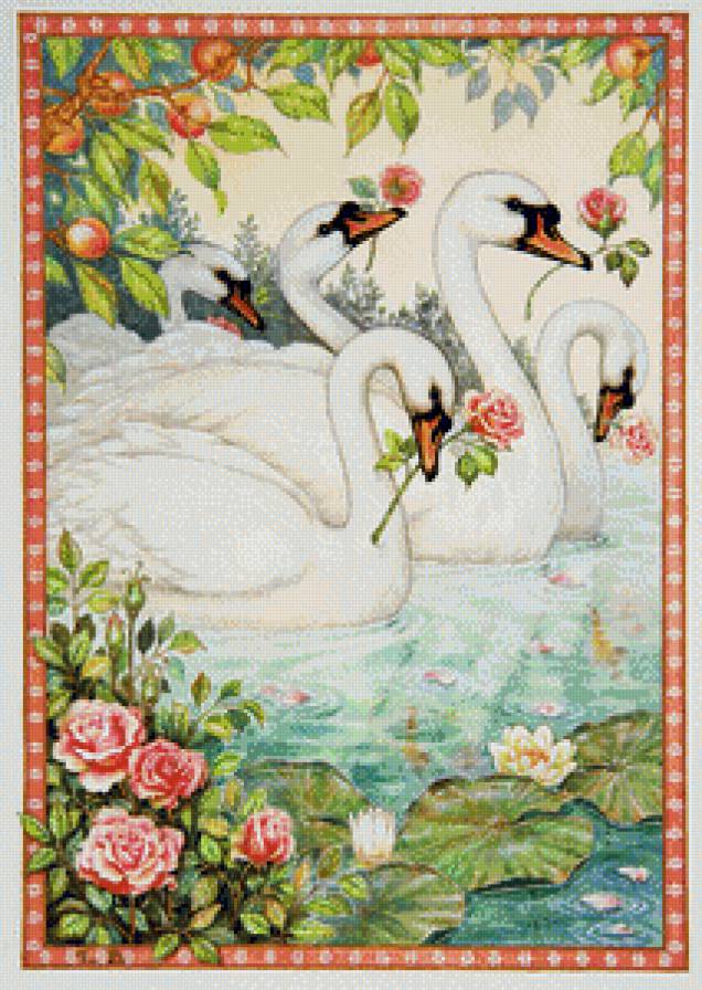 №944273 - лебеди - предпросмотр