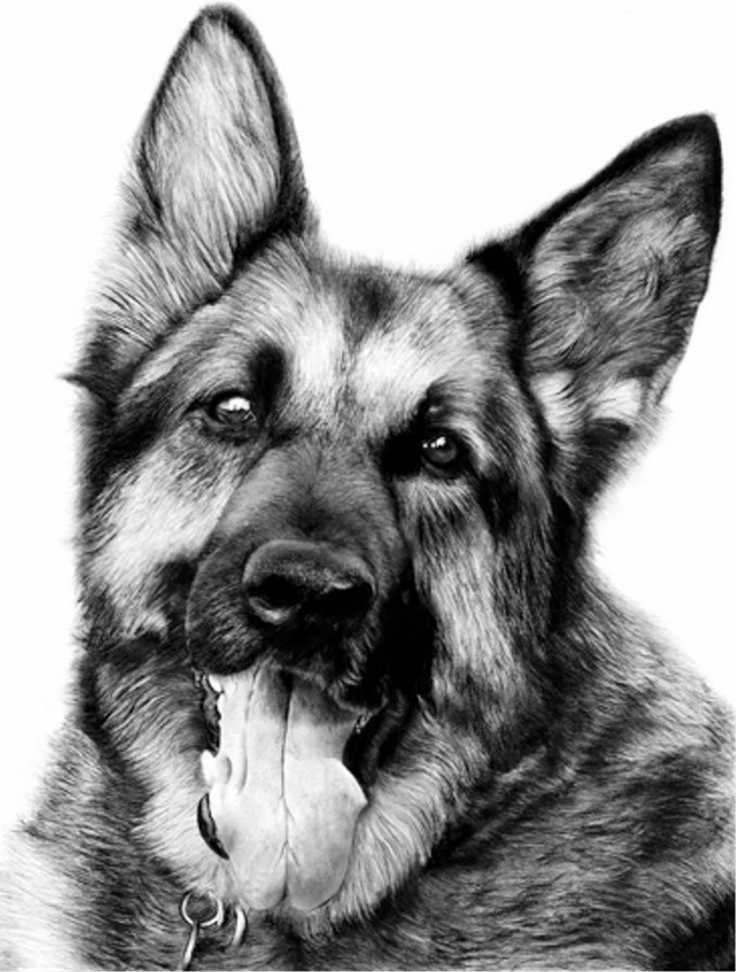 черно-белое - оригинал